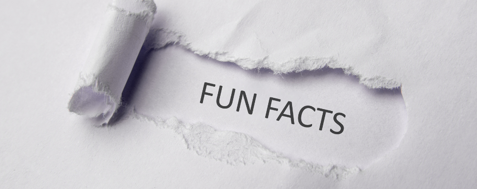 Torn paper effect with "FUN FACTS" text, showcasing B & D Plumbing, Heating & A/C services for property management.