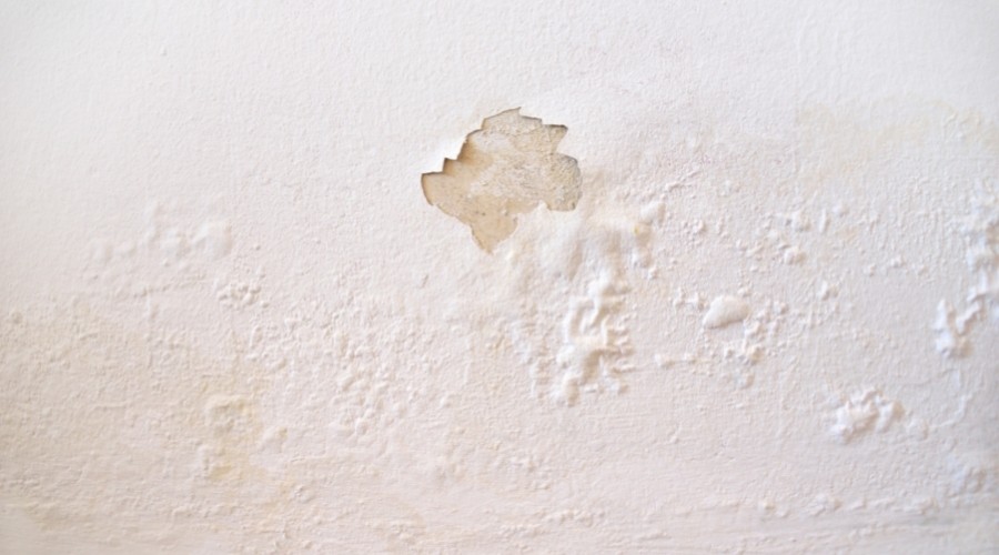 Peeling paint on a damaged wall surface, showcasing wear and texture variations for B & D Plumbing's property updates.