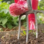 Red polka-dotted rubber boots and a three-pronged fork in dark soil, showcasing gardening tips from B & D Plumbing.