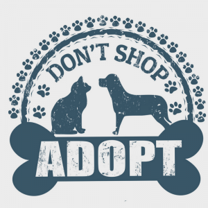 adopt-a-shelter-dog-month