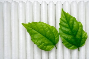 Green leaves resting on white air filters, symbolizing air quality and seasonal allergy prevention for spring.